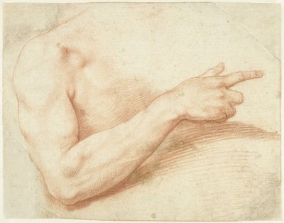 Studie av en arm av Giuseppe Cesari