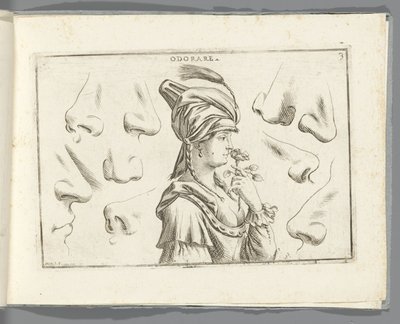Lukt Odorare (titel på objekt) av Giuseppe Maria Mitelli