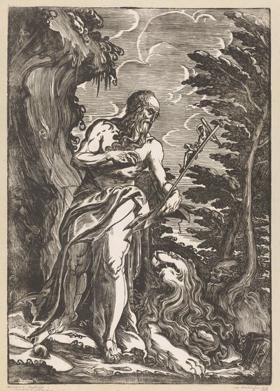 Saint Hieronymus i vildmarken av Giuseppe Scolari