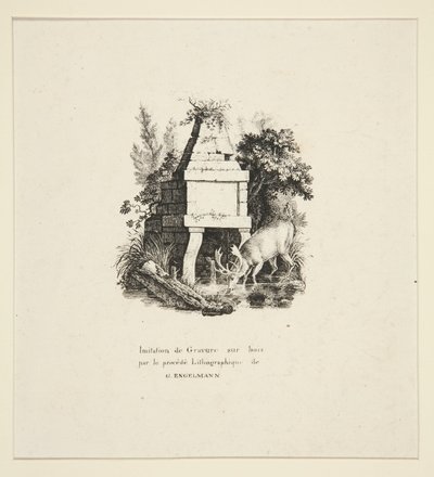 Stag dricka av Godefroy Engelmann