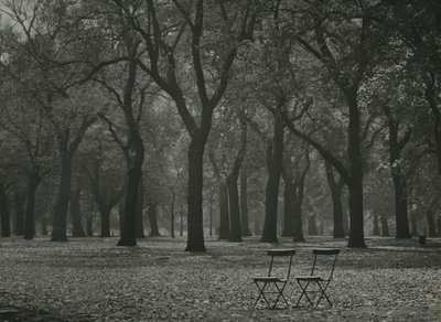 Höstens träd i Hyde Park, London av Godfrey Macdominic