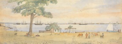 Greytown av Godfrey Thomas Vigne