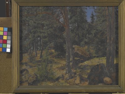 A Fir Bank (olja på duk) av Gottfried Kallstenius