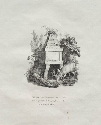 Samling av litografiska essäer: A Fountain Imitating Woodcut, ca. 1816. av Gottfried or Godefroy Engelmann