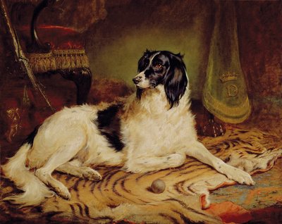 "Minna", en favorithund till James, Marquess of Dalhousie av Gourlay Steel