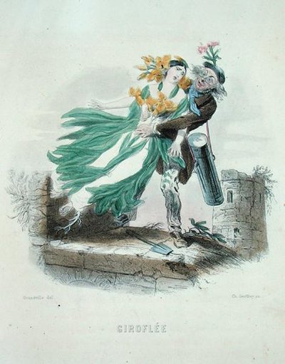 Herbalist som stjäl väggblomman, från 