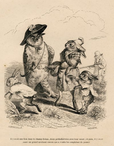 Två små harar med sin storasyster stannade av en uggla på en åker. En jakträv står bakom dem. Miniatyrer illustrerade av JJ Granville. Gravyr signerad Breviere i delen "Berättelsen om en hare" skriven av PJ Stahl i av Grandville