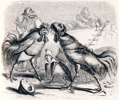 Rapphönan och de två stekarna - Fables av La Fontaine av Grandville