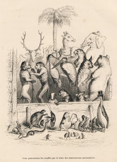 Samtal mellan djur. Miniatyrer illustrerade av JJ Granville. Gravyr signerad Breviere i prologen med titeln "Parlamentary Summary" skriven av PJ Stahl i "Scener ur djurens privata och offentliga liv". Paris, J. Hetzel och Paulin av Grandville
