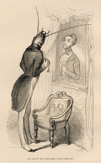 Insekt som tittar på sin mänskliga reflektion i spegeln). Vinjetter illustrerade av JJ Granville. Gravyr signerad Andrew, Best och Leloir i delen med titeln "The Adventures of a Butterfly" skriven av PJ Stahl i "Scener från djurens privata och offentliga l av Grandville