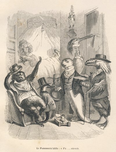 Sengångaren gäspade medan han väntade. Vinjetter illustrerade av JJ Granville. Gravyr signerad Godard i avsnittet "Les Animaux medecins" skrivet av Pierre Bernard i "Scener av djurens privata och offentliga liv". Paris, J. Hetzel och Paulin av Grandville