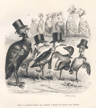 Goslings jobb består i att föra eleverna till fälten. Gässen flyttar ifrån sitt barn. Miniatyrer illustrerade av JJ Granville. Gravyr signerad Breviere i delen med titeln "Guide-åsna för användning av djur som vill uppnå utmärkelser" skriven av Grandville