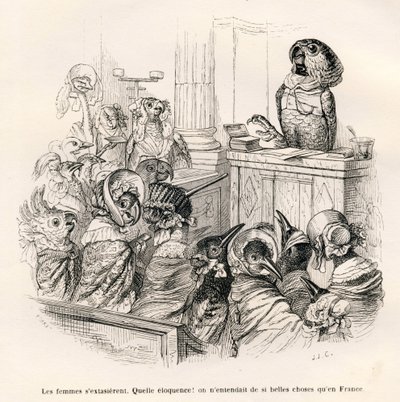 Talande papegoja. Miniatyrer illustrerade av JJ Granville. Gravyr signerad Porret i delen med titeln "Guide-åsna för användning av djur som vill uppnå utmärkelser" skriven av Honore De Balzac i "Scener från djurens privata och offentliga liv". av Grandville