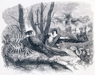 Philomele & Progne - Fables av La Fontaine av Grandville