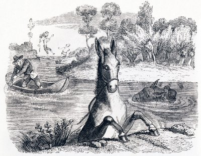 Åsnan med svampen och åsnan med saltet (L