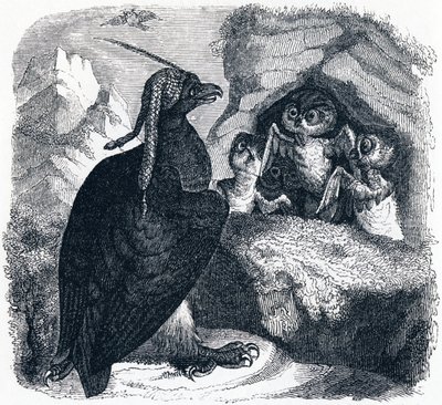 Örnen och ugglan, illustration från 