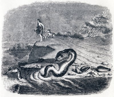 Ormens fram- och svans - Fables av La Fontaine av Grandville