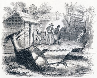 Fågeln gör ont av en pil - Fables av La Fontaine av Grandville