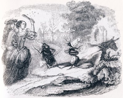 Flugan och myran - Fables av La Fontaine av Grandville