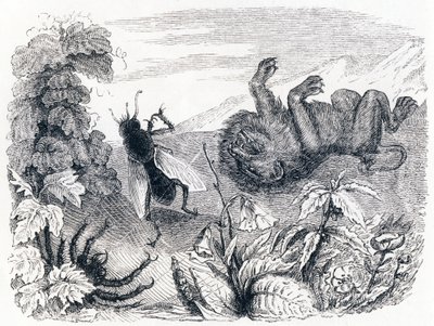 Lejonet och mitten - Fabler av La Fontaine av Grandville