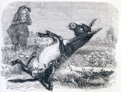 Den gamle mannen och räven (Le vieillard et l