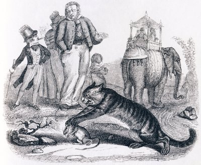 Råttan och elefanten (le rat et l