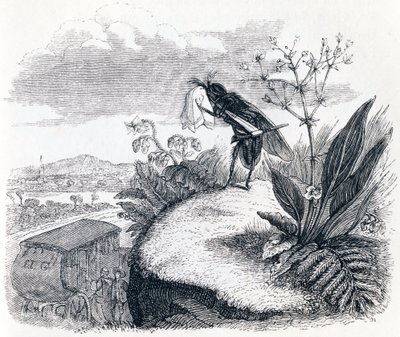 Fästingen och flugan - Fables av La Fontaine av Grandville