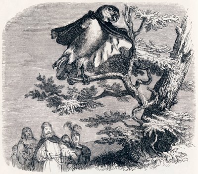 De två papegojorna, kungen och hans son - Fabler av La Fontaine av Grandville