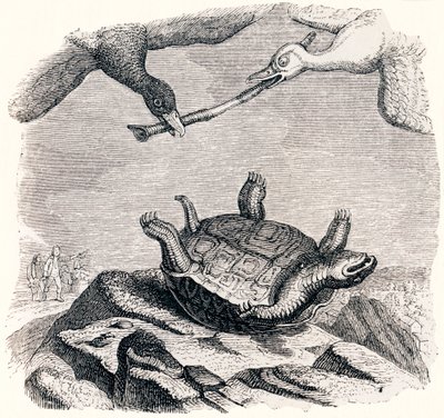 sköldpaddan och de två änderna - Fables av La Fontaine av Grandville