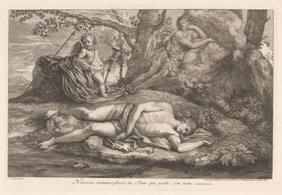 Narcissus i Echo Narcissus omvandlas till en blomma som bär hans namn (titel på objektet) av Gérard Audran