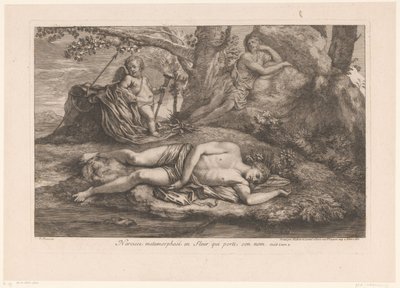 Narcissus i Echo Narcissus förvandlas till en blomma som bär hans namn (titel på objekt) av Gérard Audran