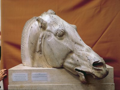 Huvud av en häst av Selene av Greek