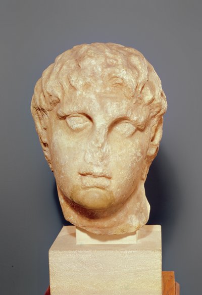 Chef för en av Diadochi eller chef för Alexander III (356-323 f.Kr.) den store (marmor) av Greek