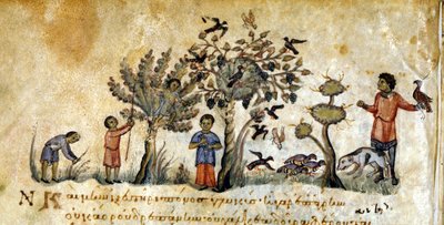 Jakt med falkar för att fånga fåglar - i "" De Venatione"" av Oppianus, grekiskt manuskript från 1200-talet. Biblioteca Marciana. Venedig av Greek School