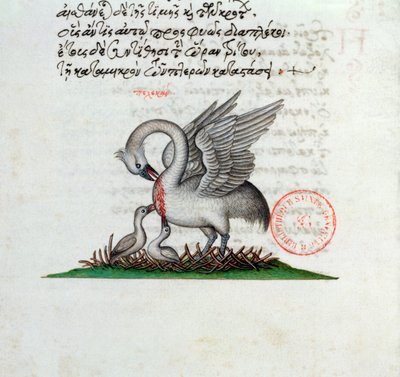 Ms 3401 A Pelican Piercing itsbrast to feed its young, from a bestiary av Manuel Philes, 1566 av Greek School