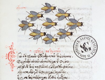 Ms 3402 Bees, från ett bestiary av Manuel Philes, 1566 av Greek School
