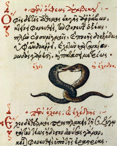 Ormkoppling, test och miniatyr från De animalium natura et proprietate libellus, av Aelianus (2:a-3:e århundradet e.Kr.) av Greek School