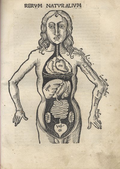 Margarita filosofisk Anatomi, 1504 av Gregor Reisch