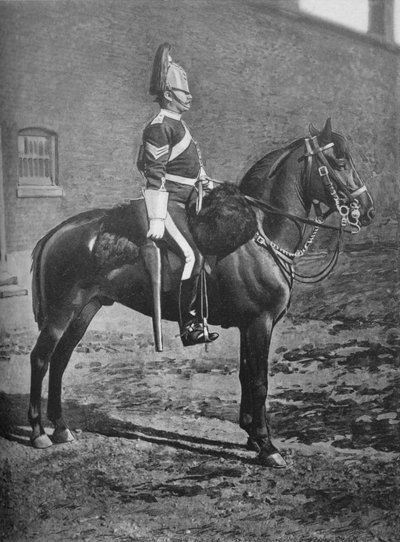 Sergeant, 2nd Dragoon Guards Queens Bays, c1880 av Gregory and Co