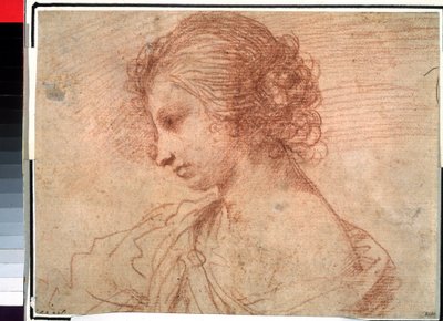 Porträtt av en ung flicka. (Bröstporträtt av en ung kvinna) av Guercino (1591-1666)