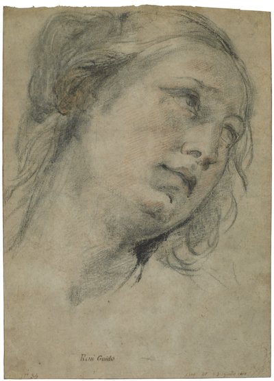 The Head of a Young Woman Looking Upward, ca 1609 (svart och röd krita med inslag av vit krita på brunt papper) av Guido Reni