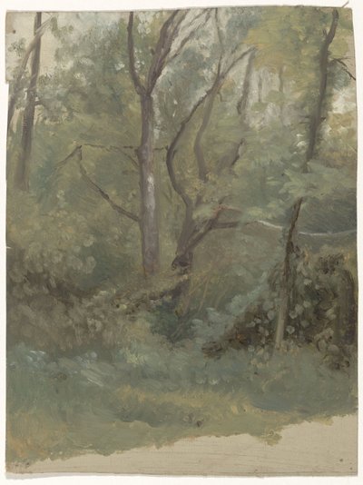 Skogsutsikt av Guillaume Anne van der Brugghen