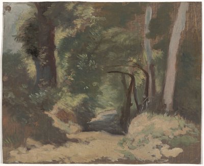 Skogsväg av Guillaume Anne van der Brugghen