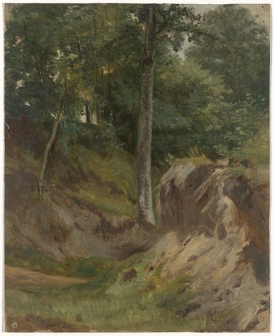 Torr bäck i skogen av Guillaume Anne van der Brugghen
