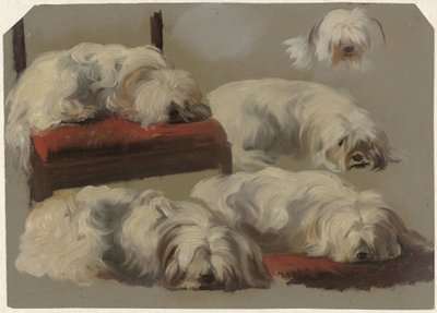 Studier av en vit knähund av Guillaume Anne van der Brugghen