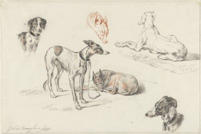 Studier av hundar av Guillaume Anne van der Brugghen