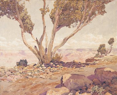 Grand Canyon av Gunnar Widforss