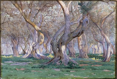 Oak Grove av Gunnar Widforss