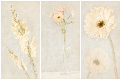 Triptyk med blekta blommor av Gustav Davidsson
