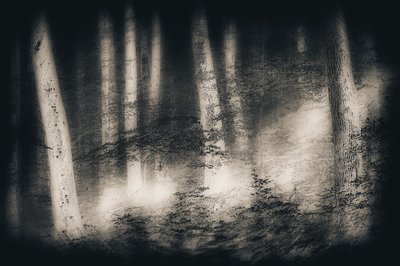 Dröm i den dimmiga skogen av Gustav Davidsson